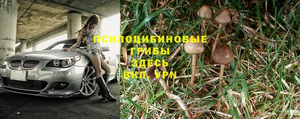 мдпв Богородицк