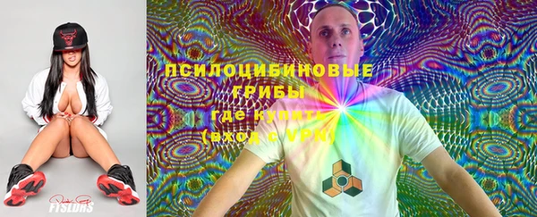 молекула духа Ростов