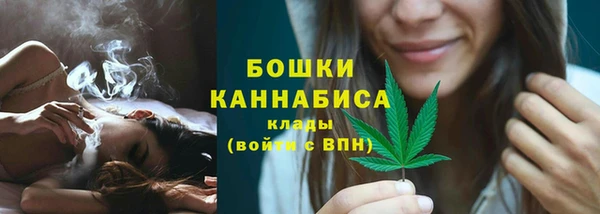 гидра Богородск