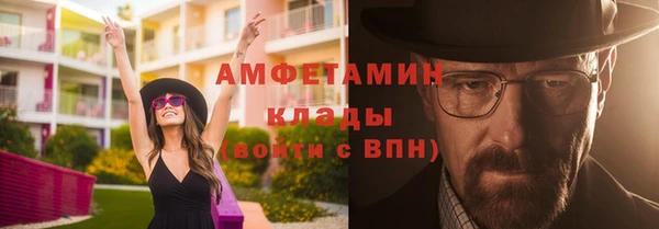 гидра Богородск