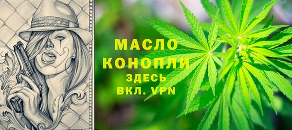 молекула духа Ростов