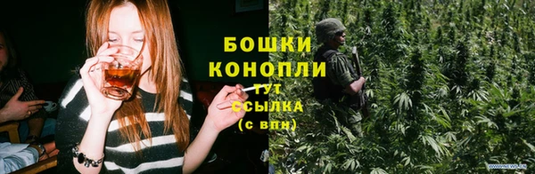 мдпв Богородицк
