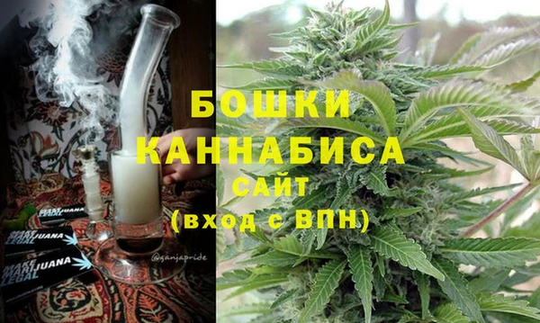 мдпв Богородицк