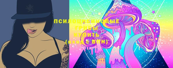 молекула духа Ростов