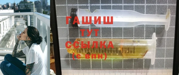 гидра Богородск