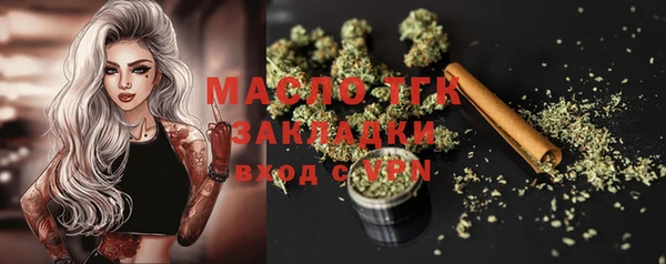 мдпв Богородицк