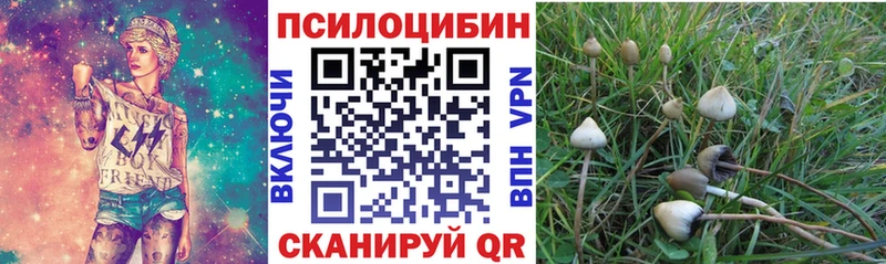 Псилоцибиновые грибы ЛСД кракен ссылки Барнаул